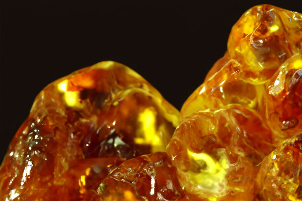 Opoponax Resin