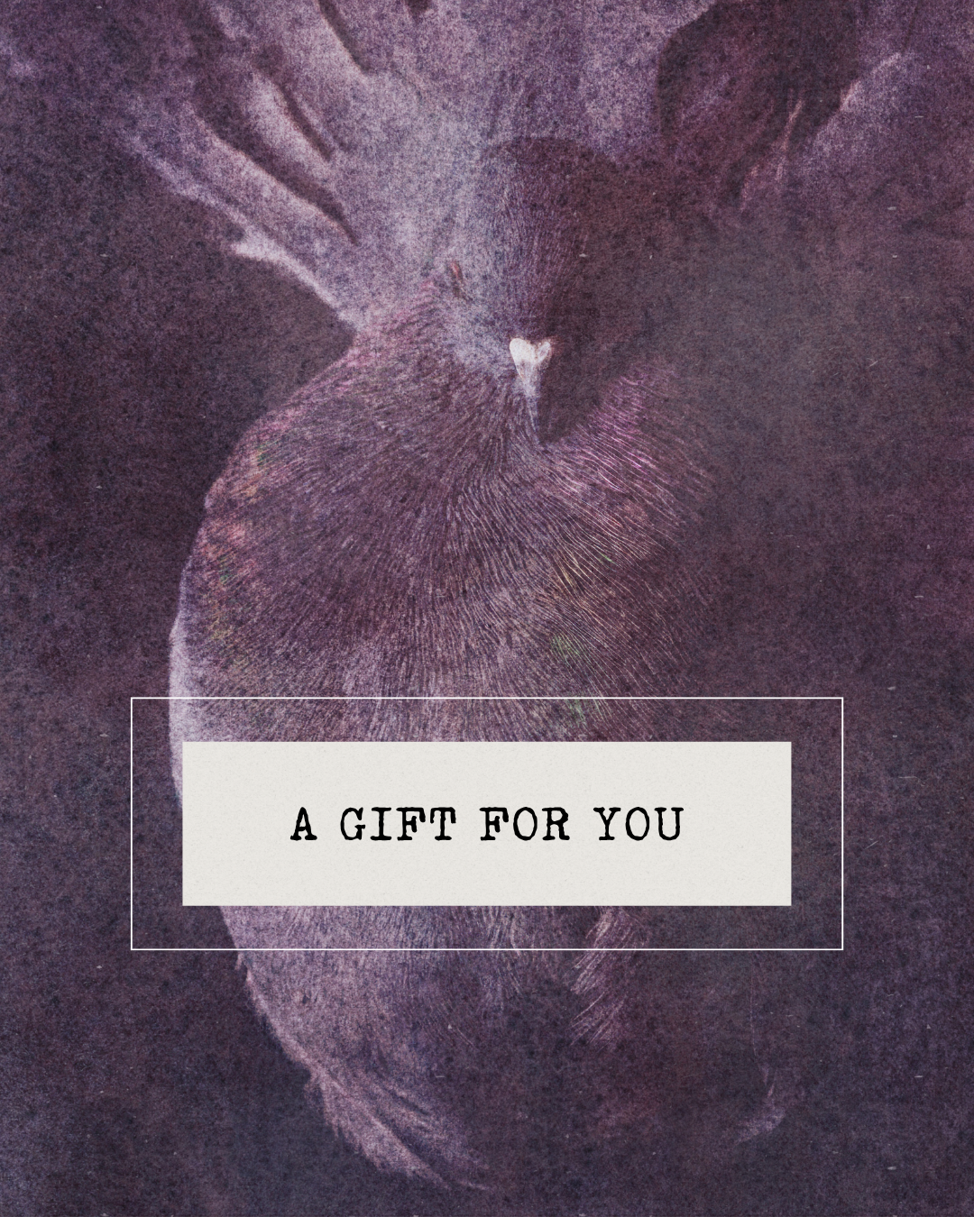 natural botanical niche perfume gift card