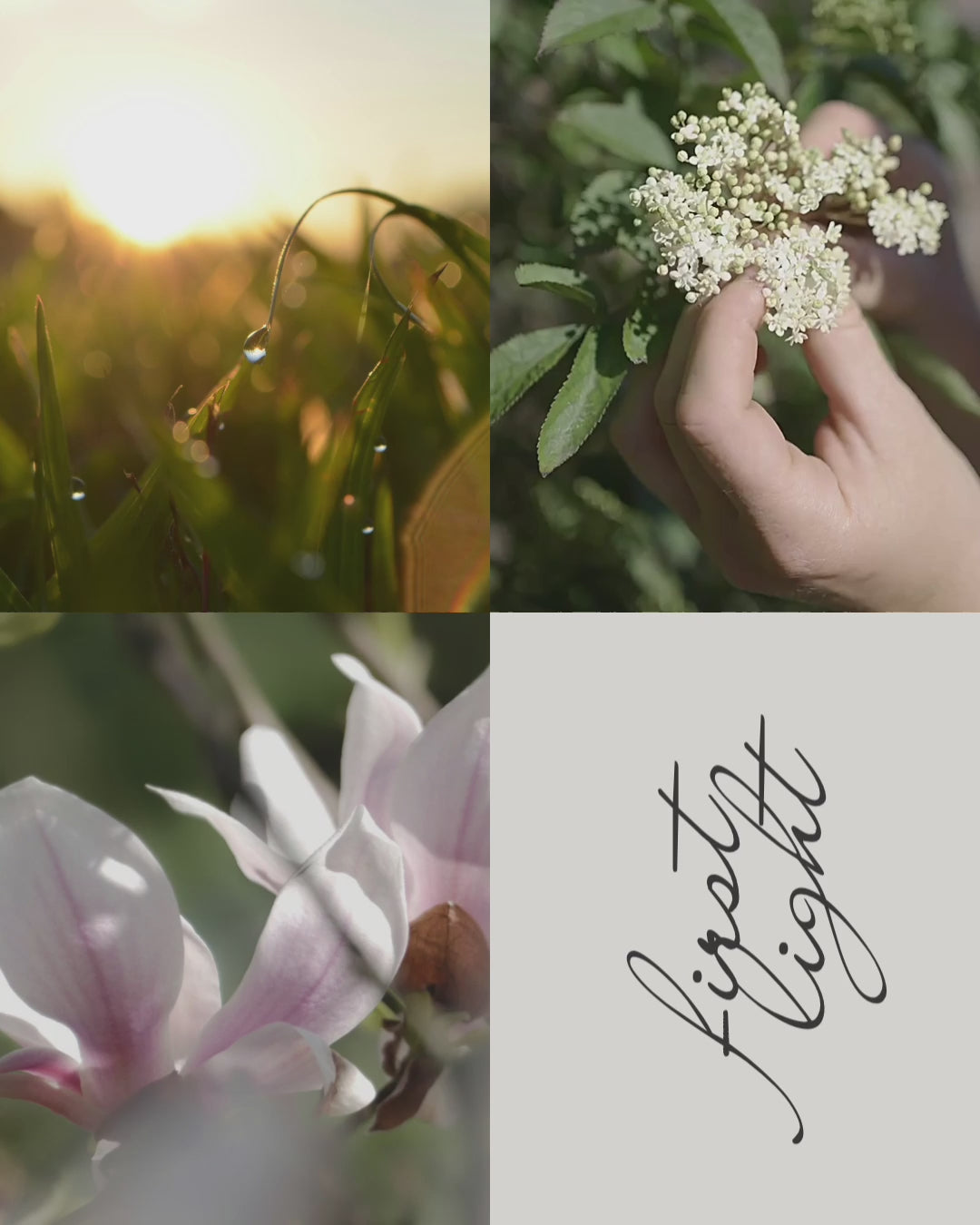 FIRST LIGHT | 30ml Scented Skin Serum - Herbalist-Formulated Skincare